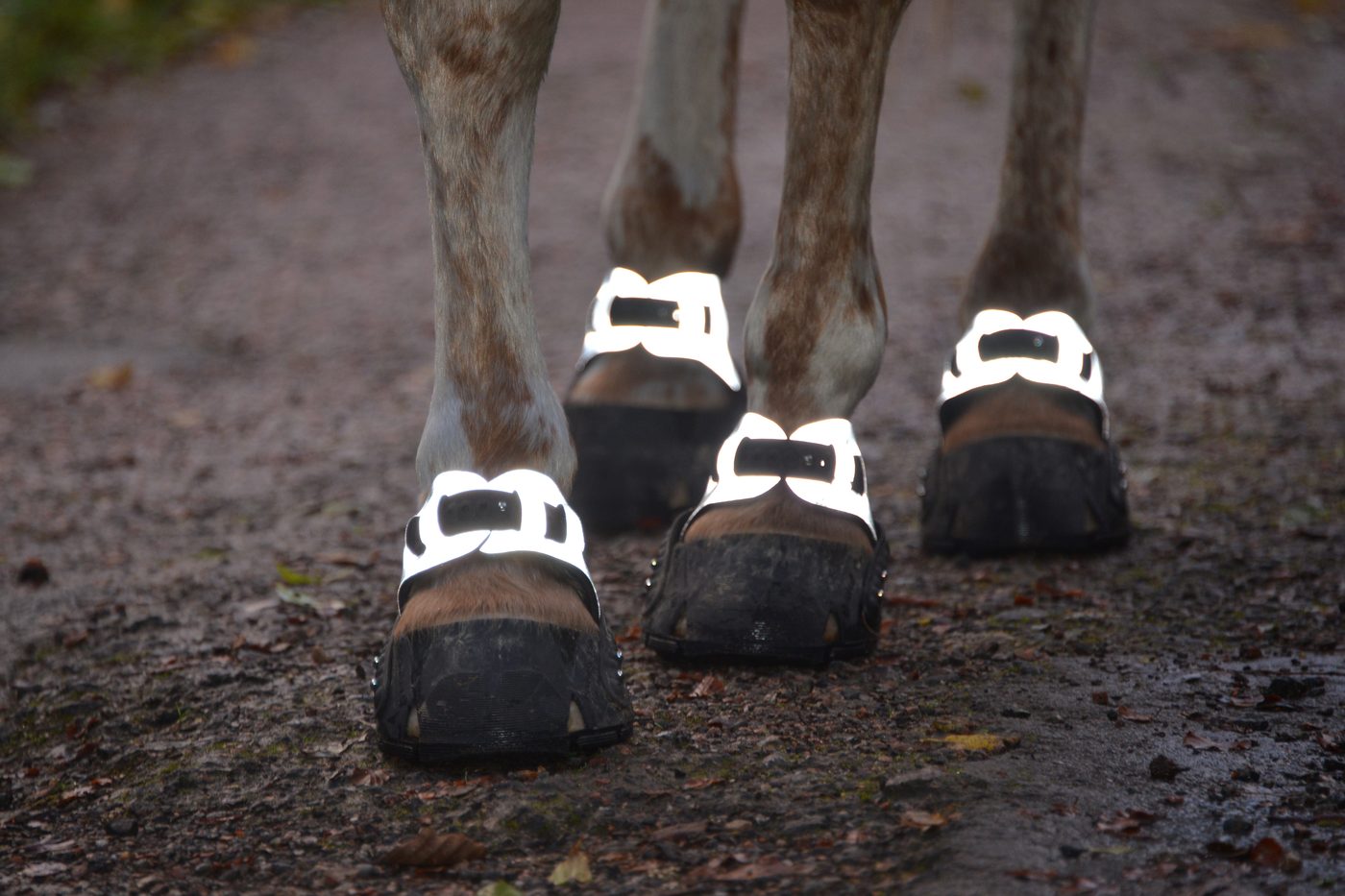 Flex Hoof Boots mit reflektierenden Gamaschen