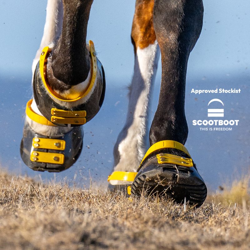 Scoot Boot in der Bewegung